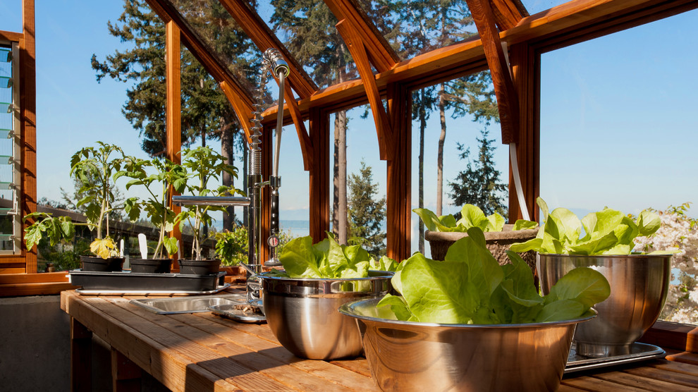 This is an example of a mid-sized contemporary detached greenhouse in Seattle.
