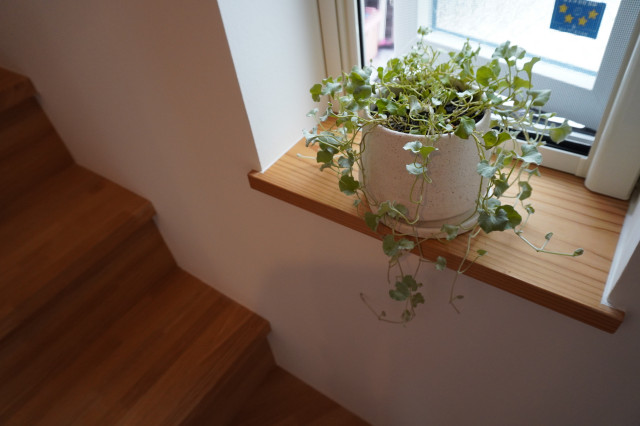 くつろぎの一畳の空間がある家 minimalistisch-treppen