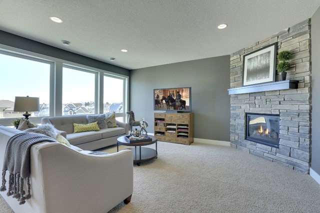 5850 model transitional-basement