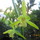 Last commented by dou028
