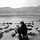 judie_freud