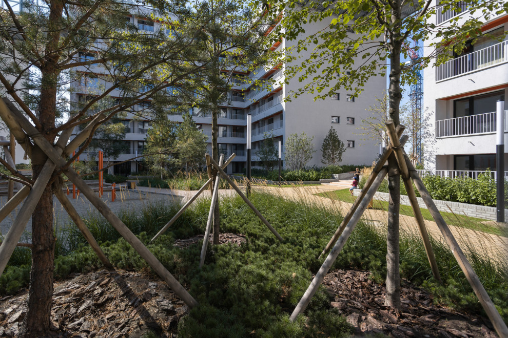 Дом с мостами