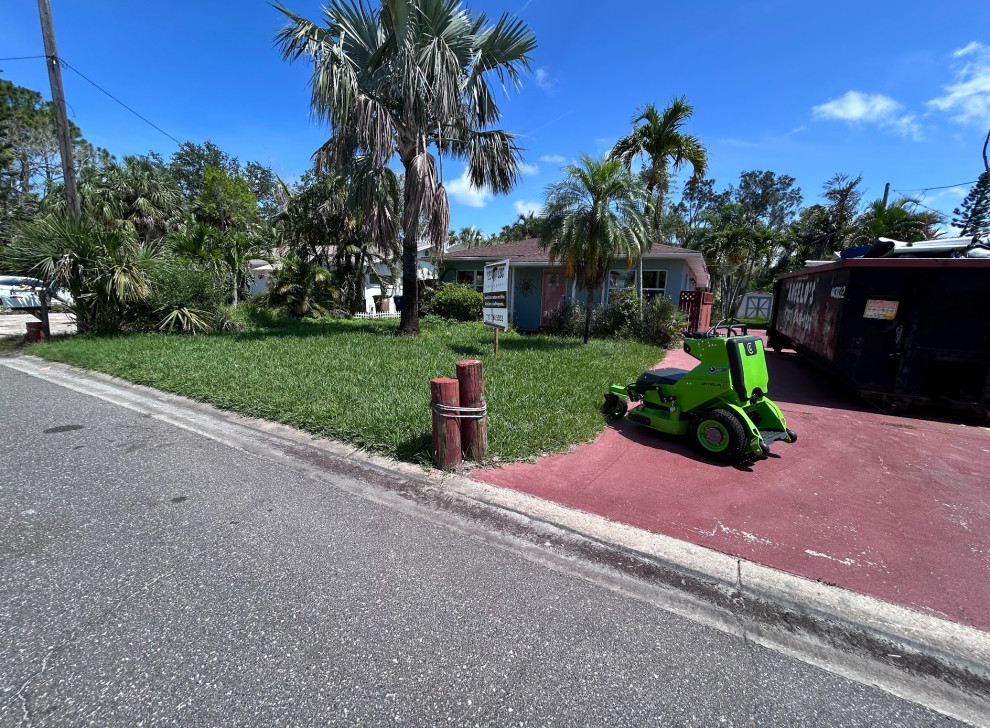 Lawn Care and Maintenance