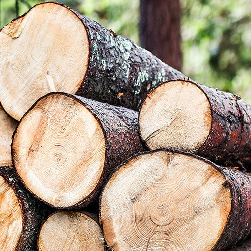 Quality Lumber