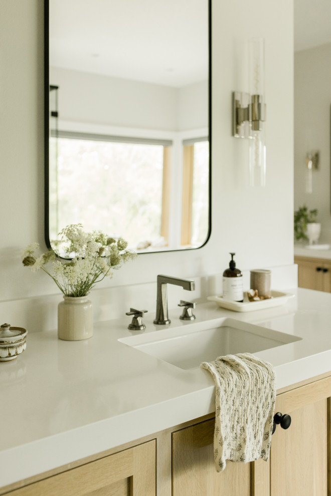 Bathroom - transitional bathroom idea