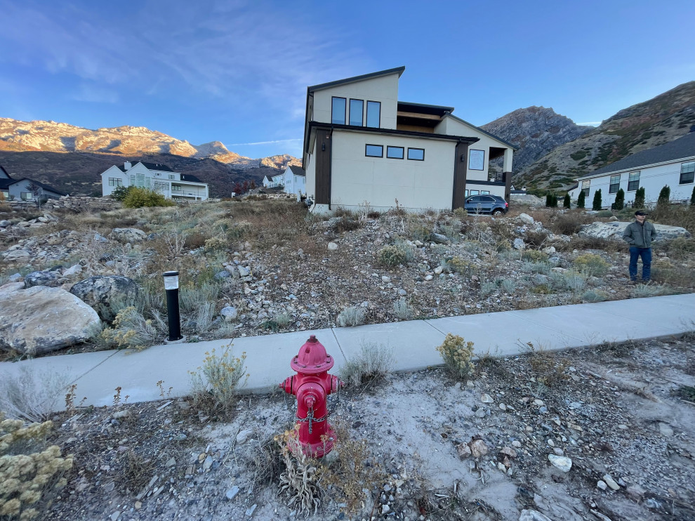 Alpine Landscape Build