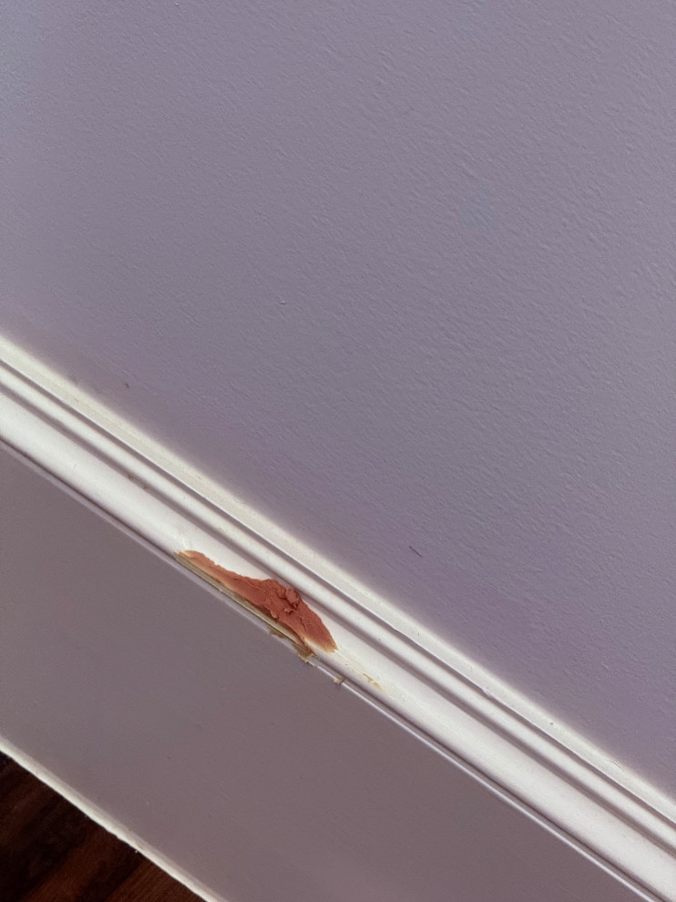 SV215 - Interior Painting