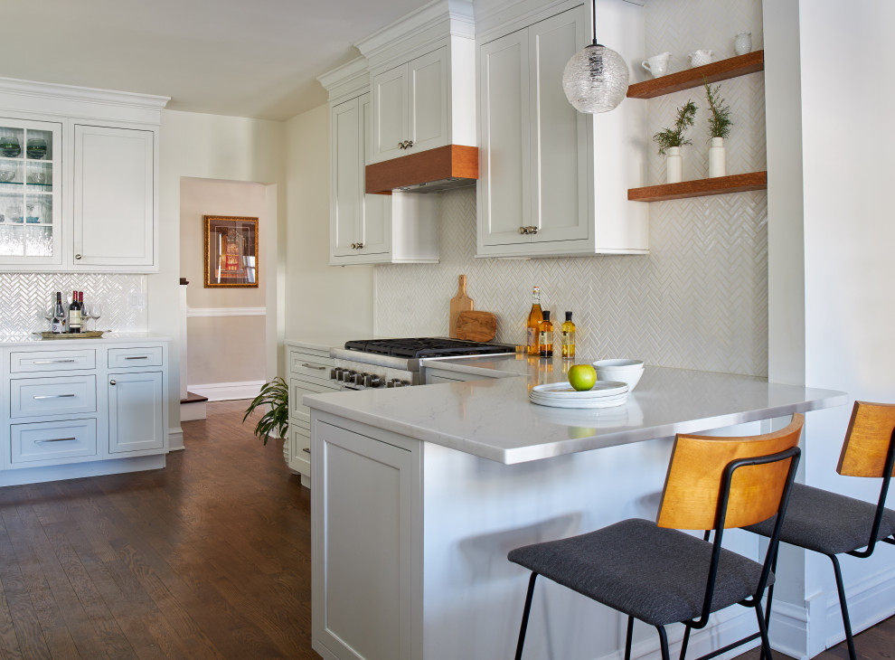 Kitchen - transitional kitchen idea in Chicago