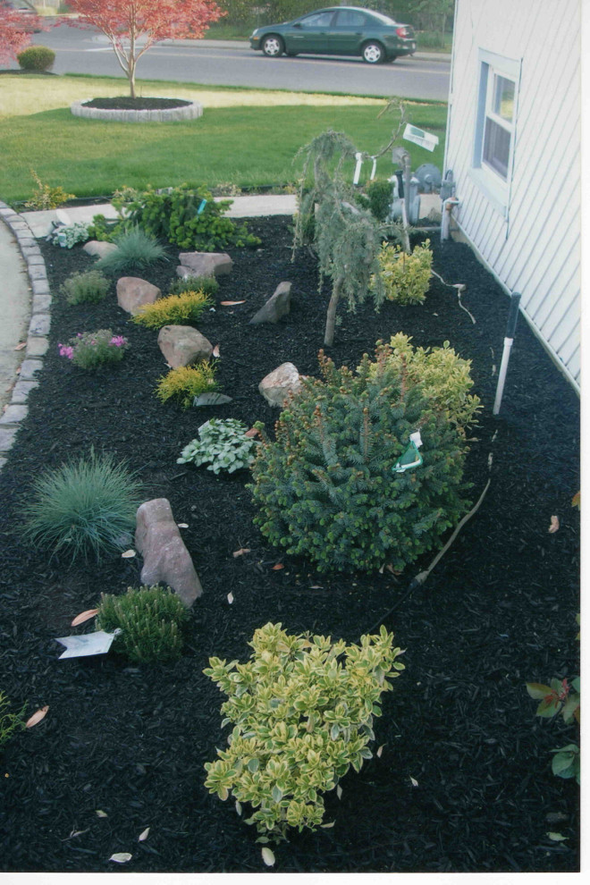 Front Yard landscaping with Belgium Block tree rings