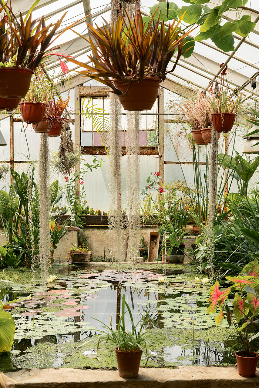 Ботанический сад в сердце Петербурга