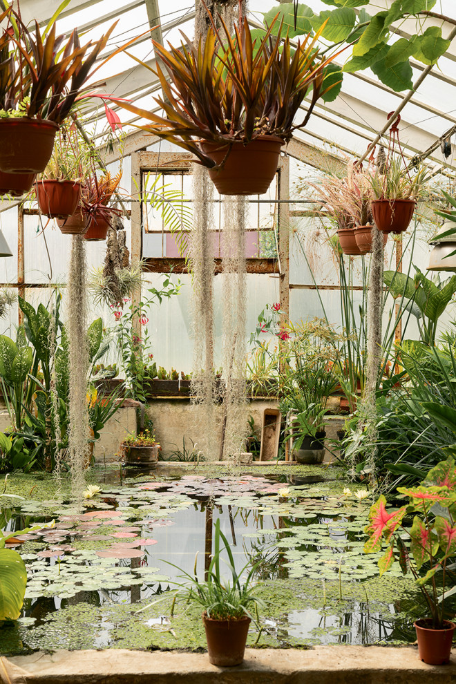 Ботанический сад в сердце Петербурга