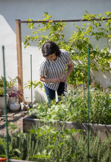 地中海スタイルのおしゃれな庭の花壇の画像 75選 22年11月 Houzz ハウズ