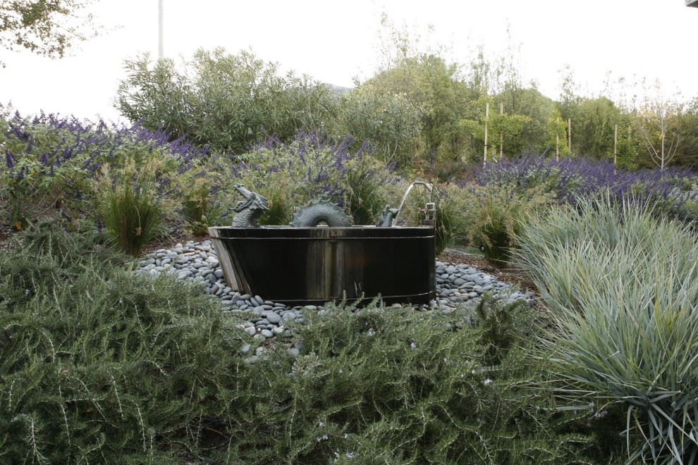 Design ideas for an eclectic garden in San Luis Obispo with a water feature.