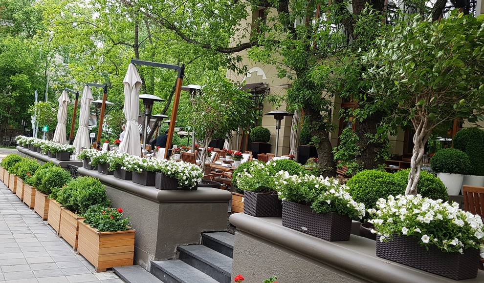 ресторан Аист на Малой Бронной