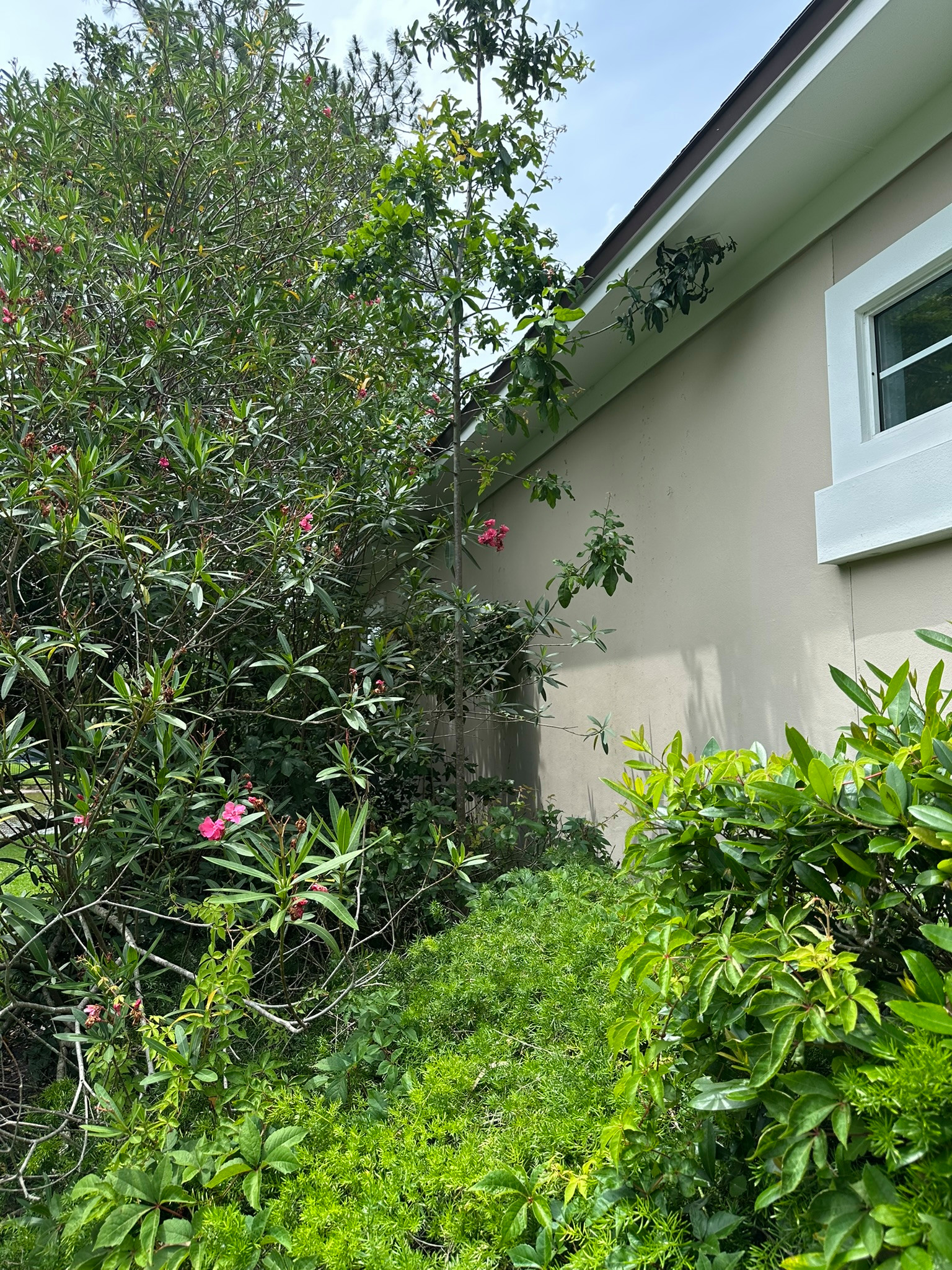 Biiging Church Lane Home Remodel
