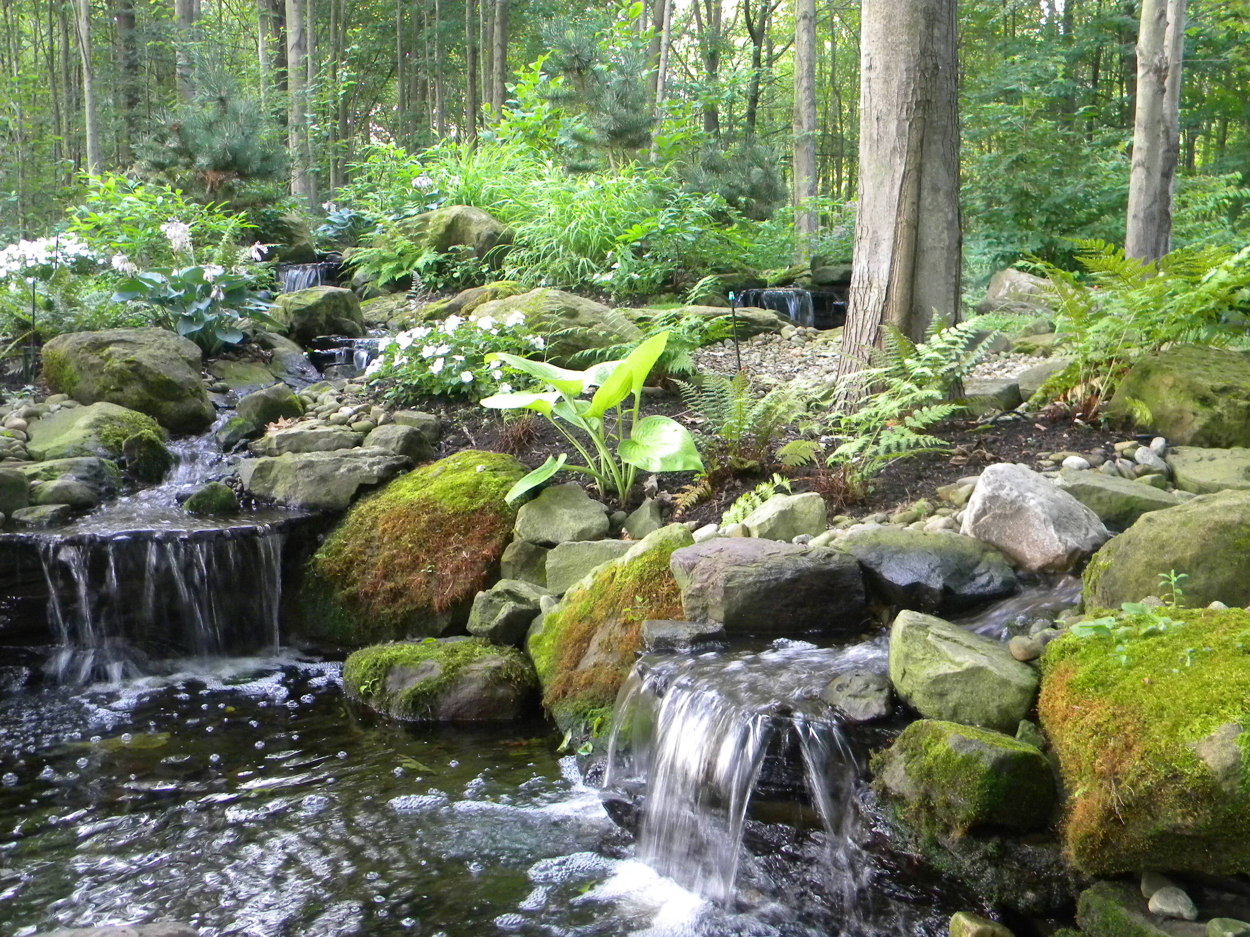 Waterfall and Stream