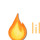 Lilliput Log Burners