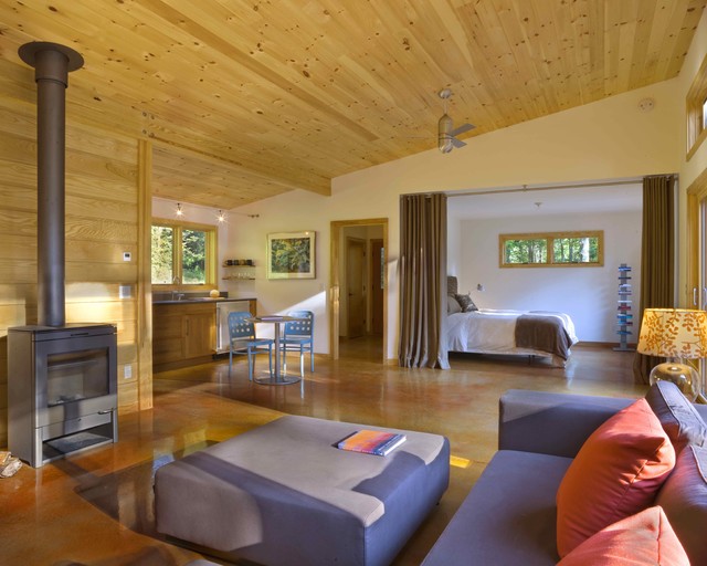 Modern Cabin moderne-dagligstue