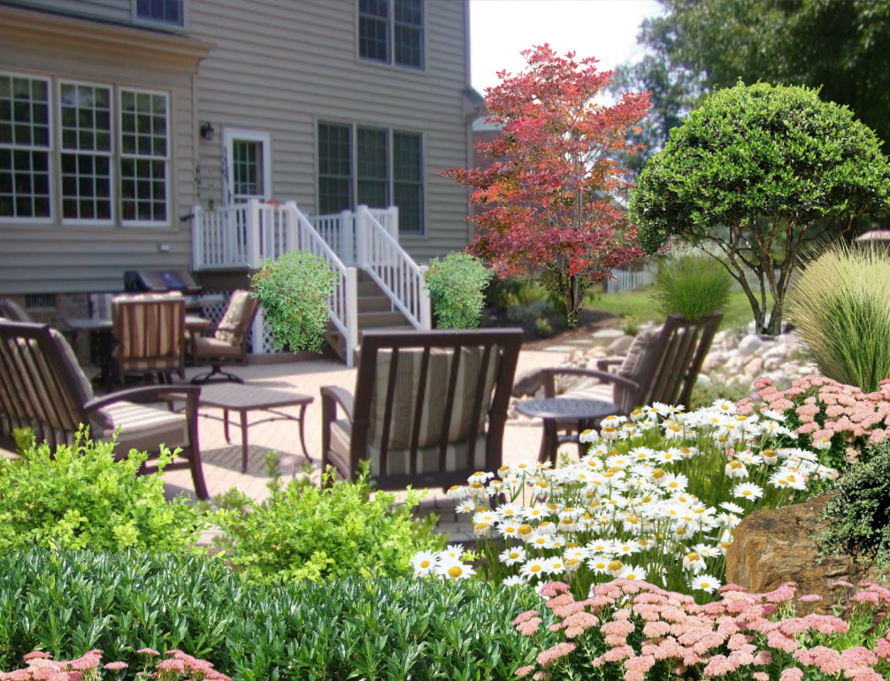 Cottage Gardens