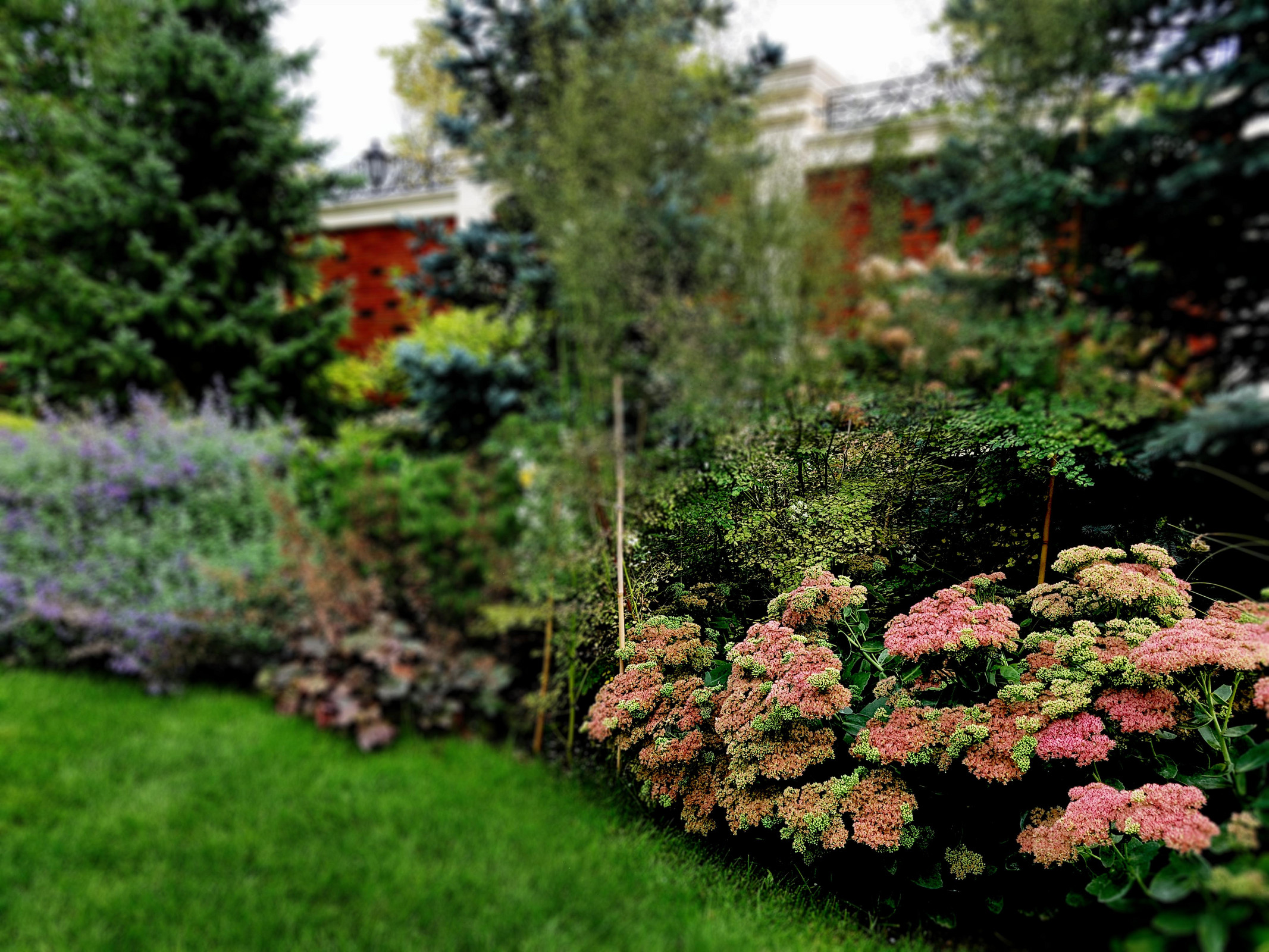 Сад с аурой