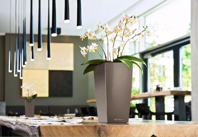 Раскройте свои планы