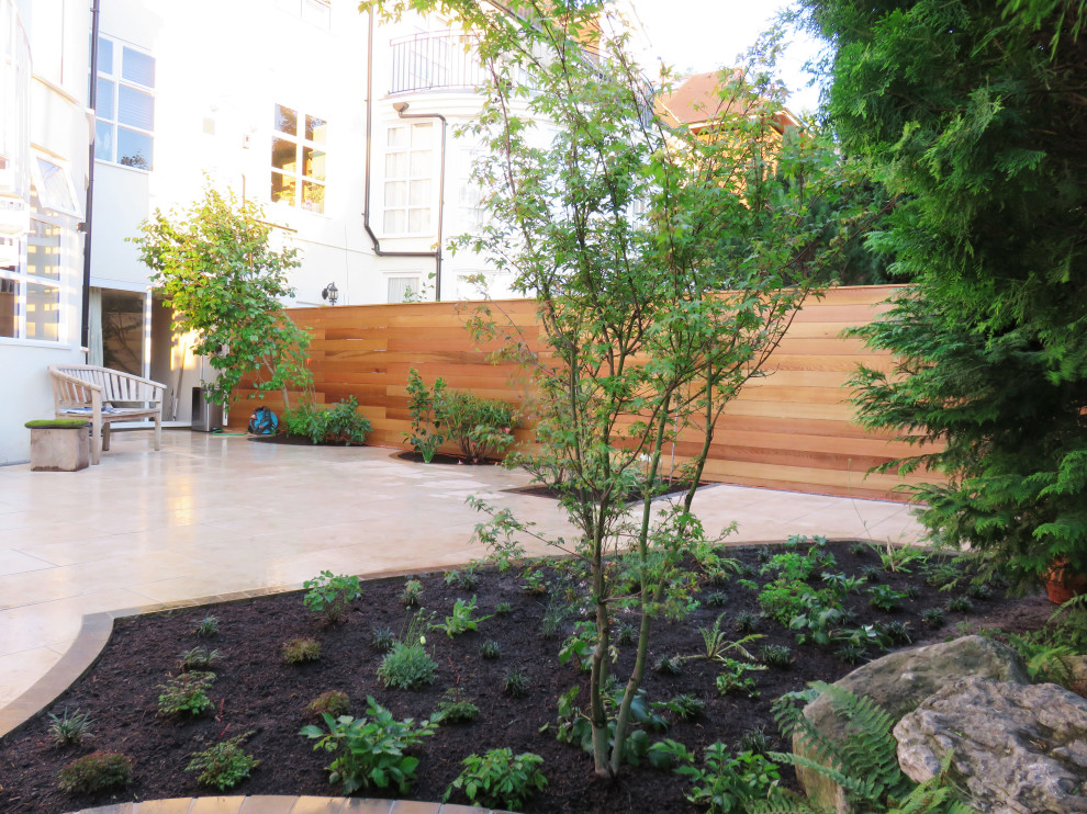 Back Garden, London
