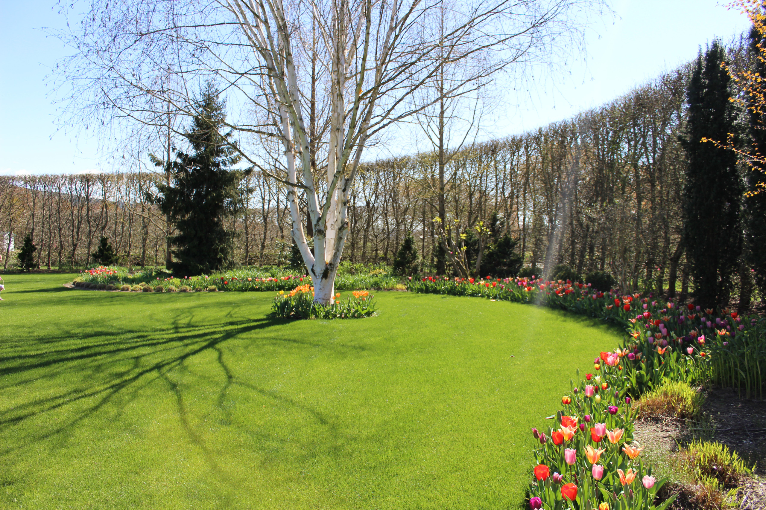 Sanctuary Estate