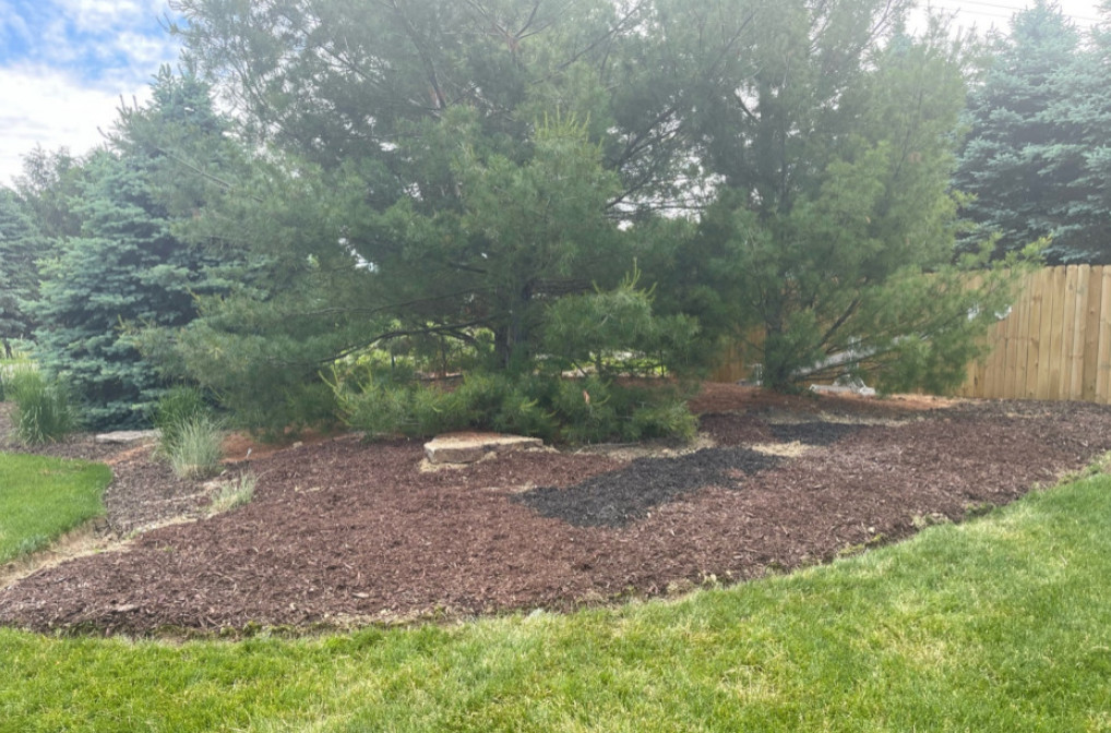 Creating Curb Appeal