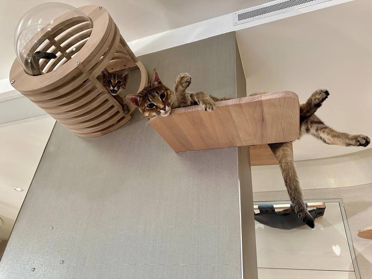 Игровой комплекс для кошек серии SOLID