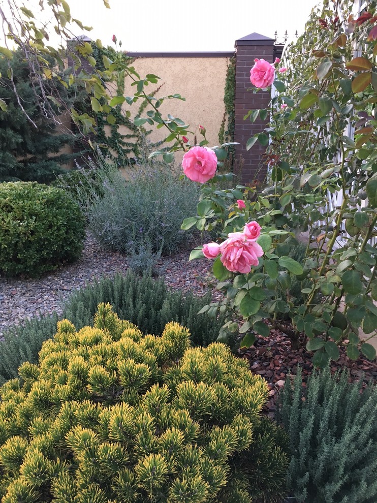 Цветы в саду