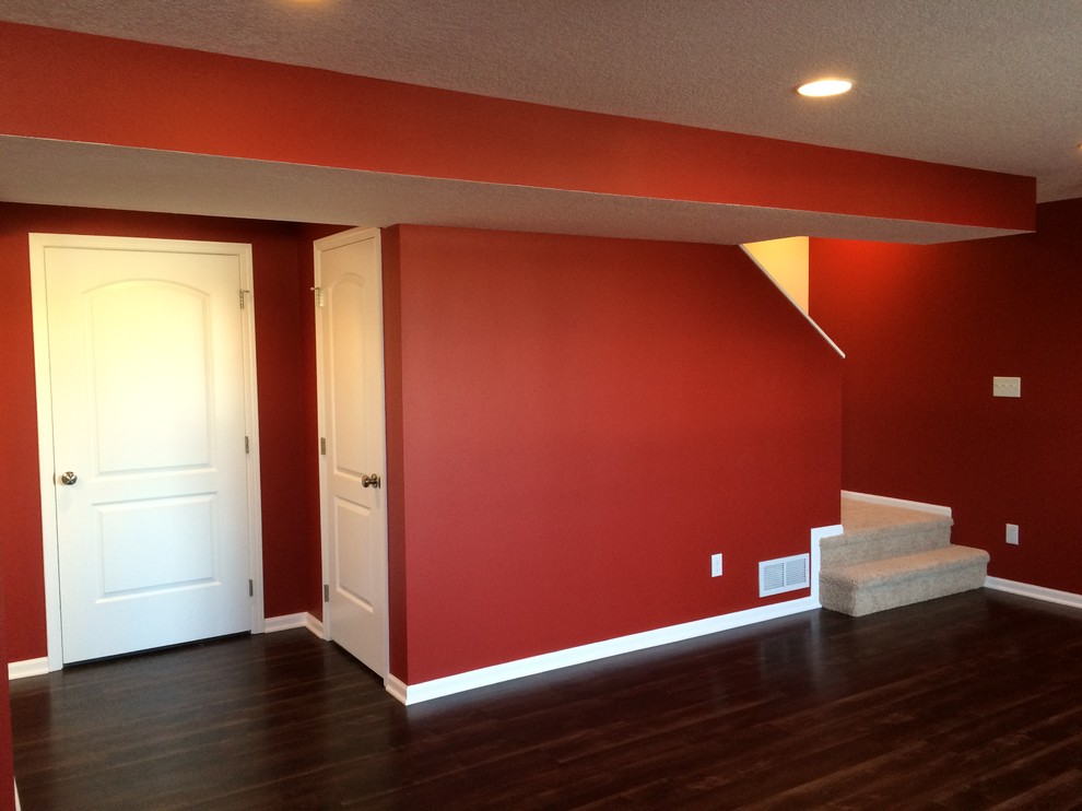 Basement - large transitional look-out dark wood floor basement idea with red walls and no fireplace