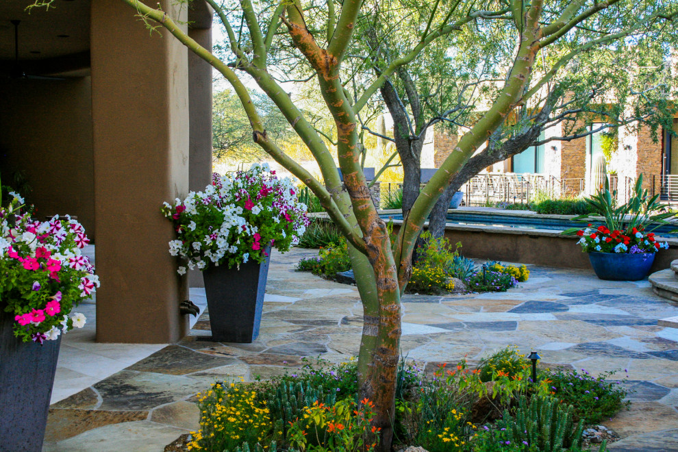 Photo of a contemporary garden in Phoenix.