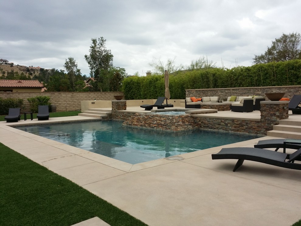Large transitional backyard rectangular natural pool in Los Angeles with a hot tub and concrete pavers.