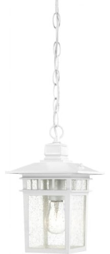 Transitional Cove Neck 1 Lgt Outdoor Hang, White Finish