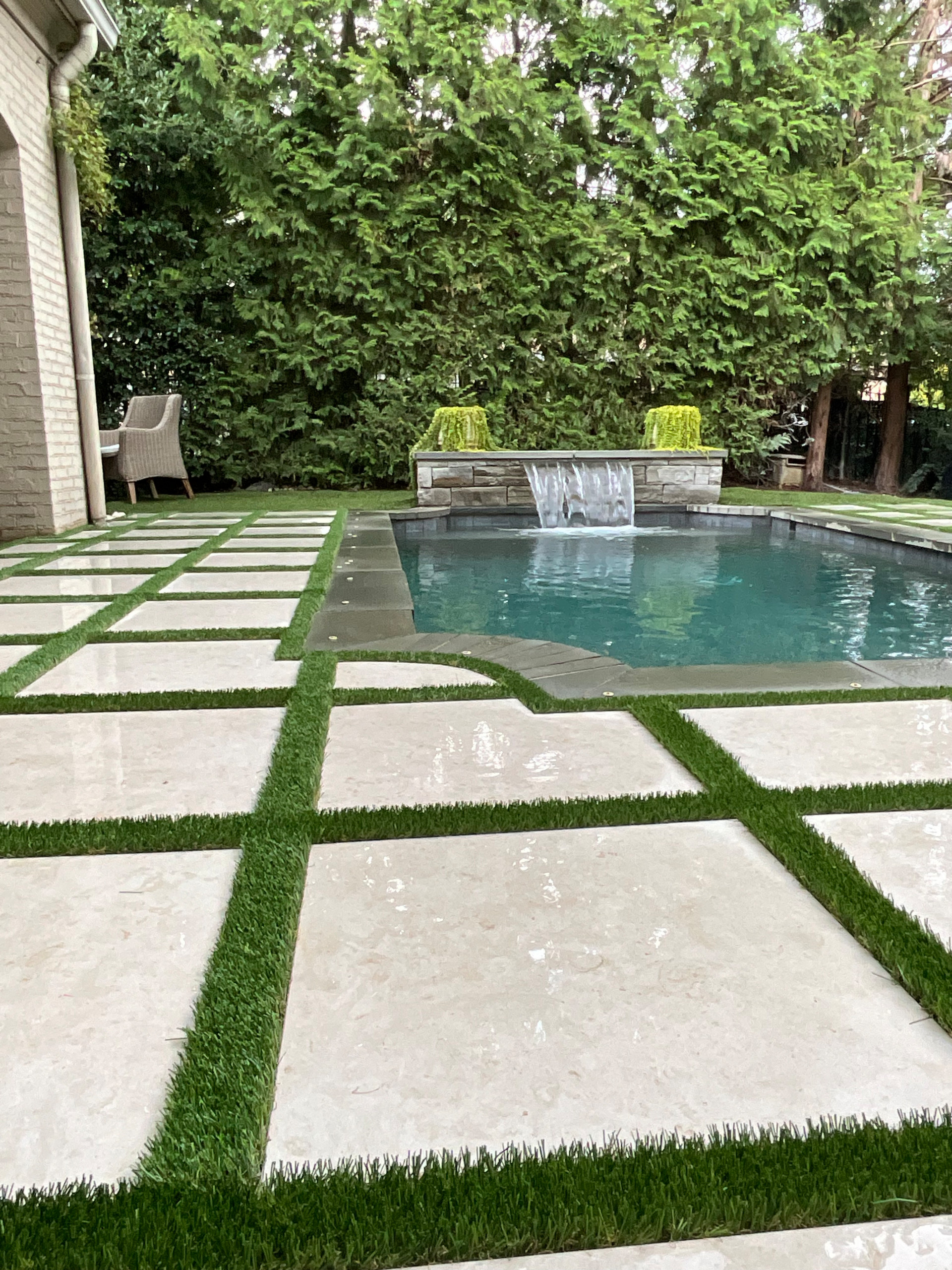 Back Yard Update