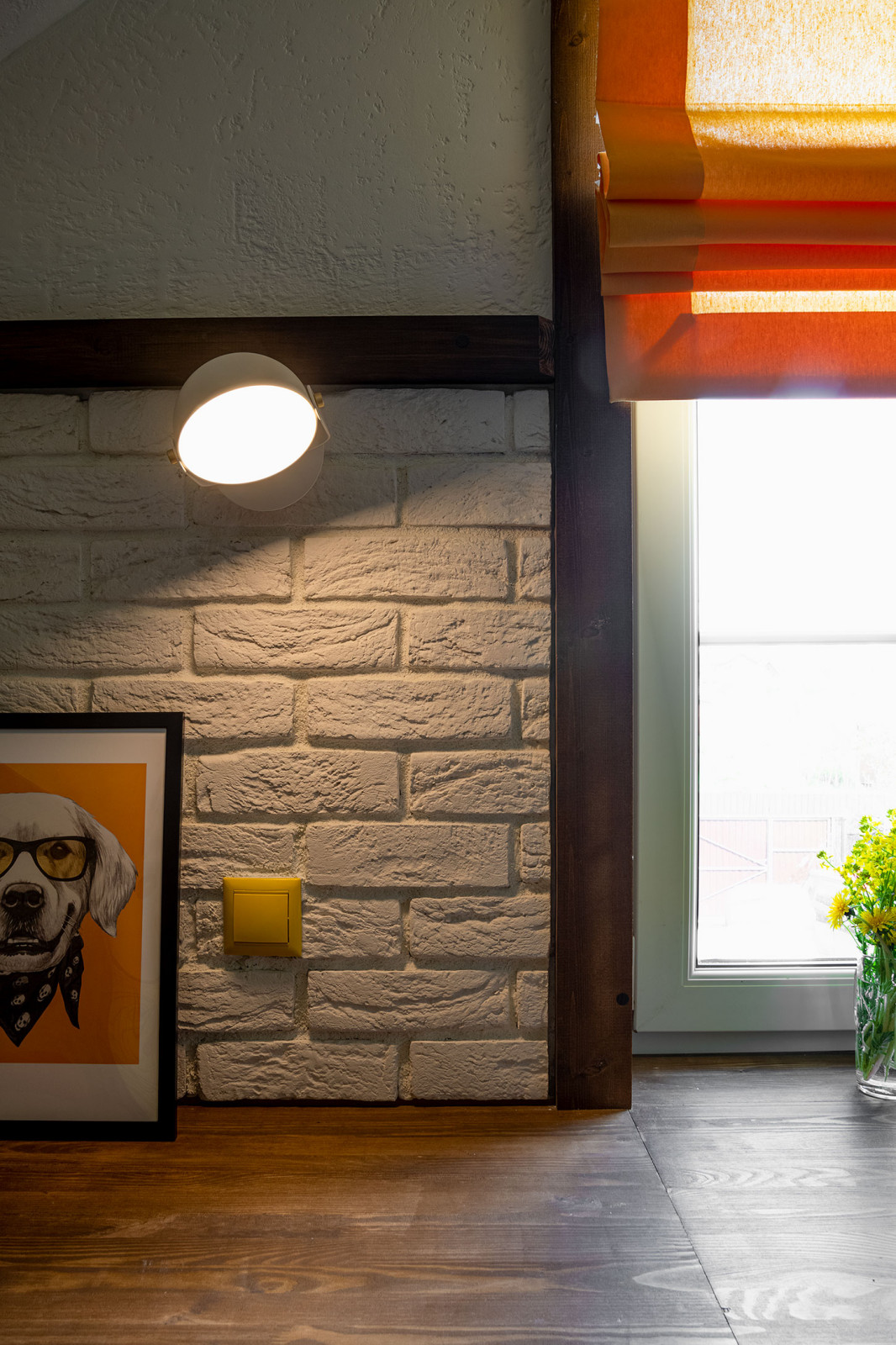 ТВ проект. Фазенда.