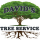David's Tree Service, Inc.