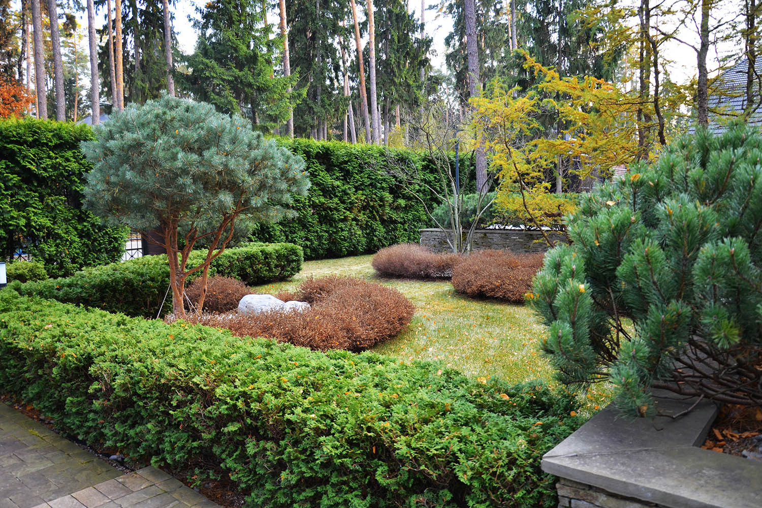 Сад с водоемом в КП " Сосновый Бор"