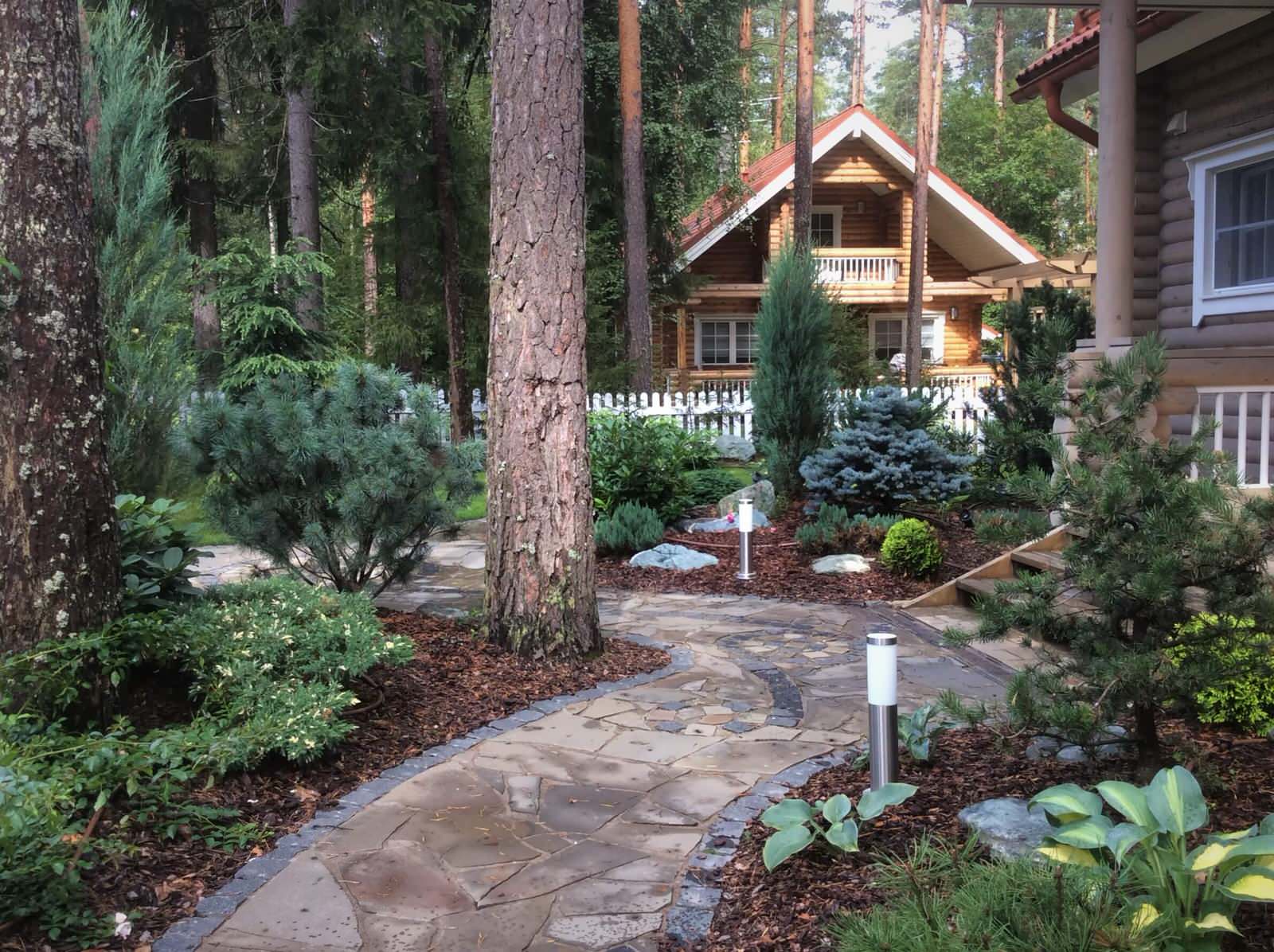 ШЕРВУДСКИЙ ЛЕС