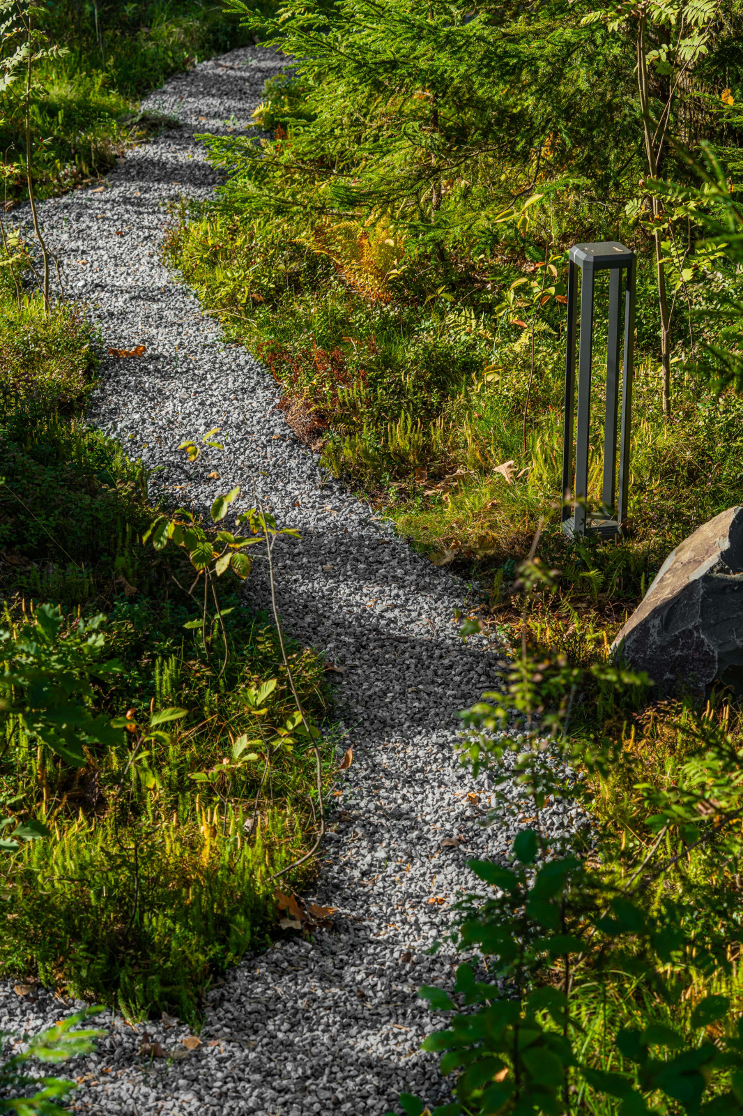 Репино парк