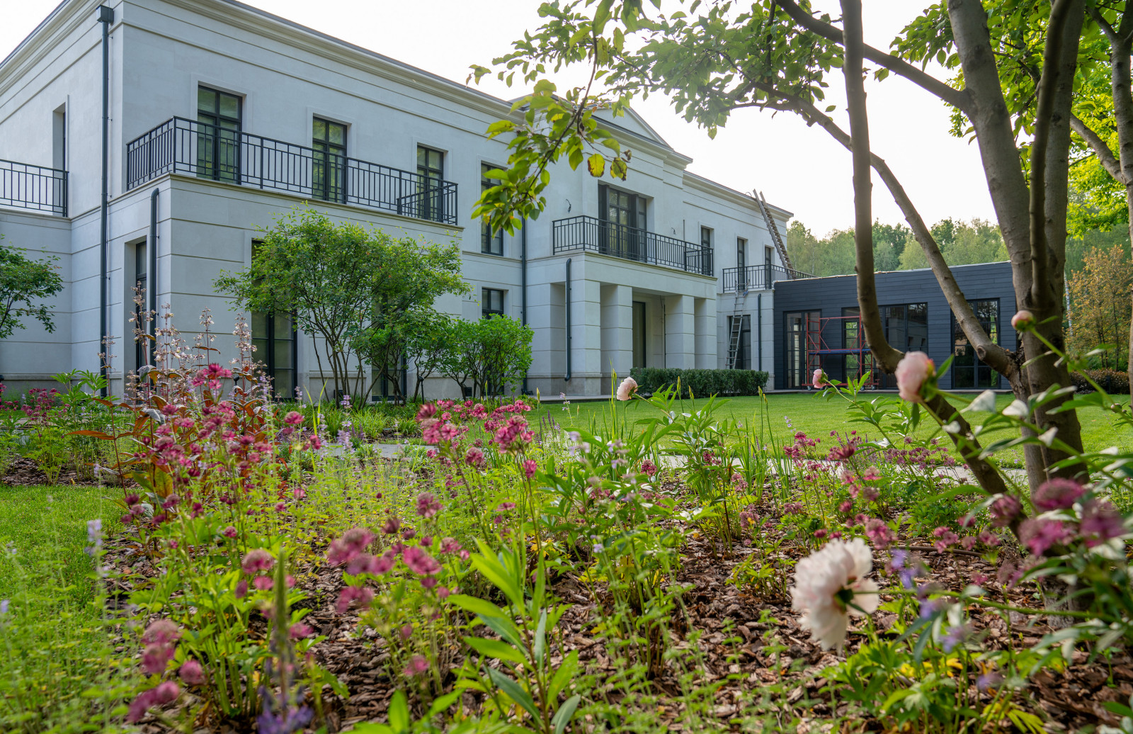 Мэдисон Парк 2022 г