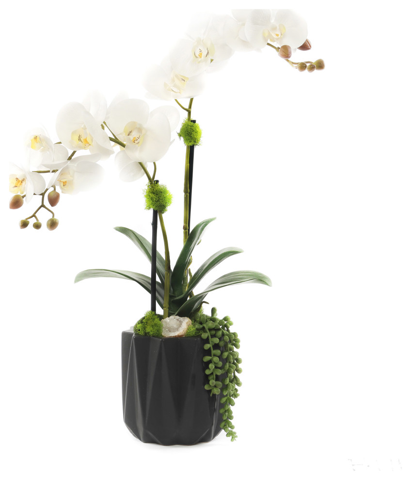 Modern Cream White Faux Orchids Arrangement in Black Matte Ceramic Pot