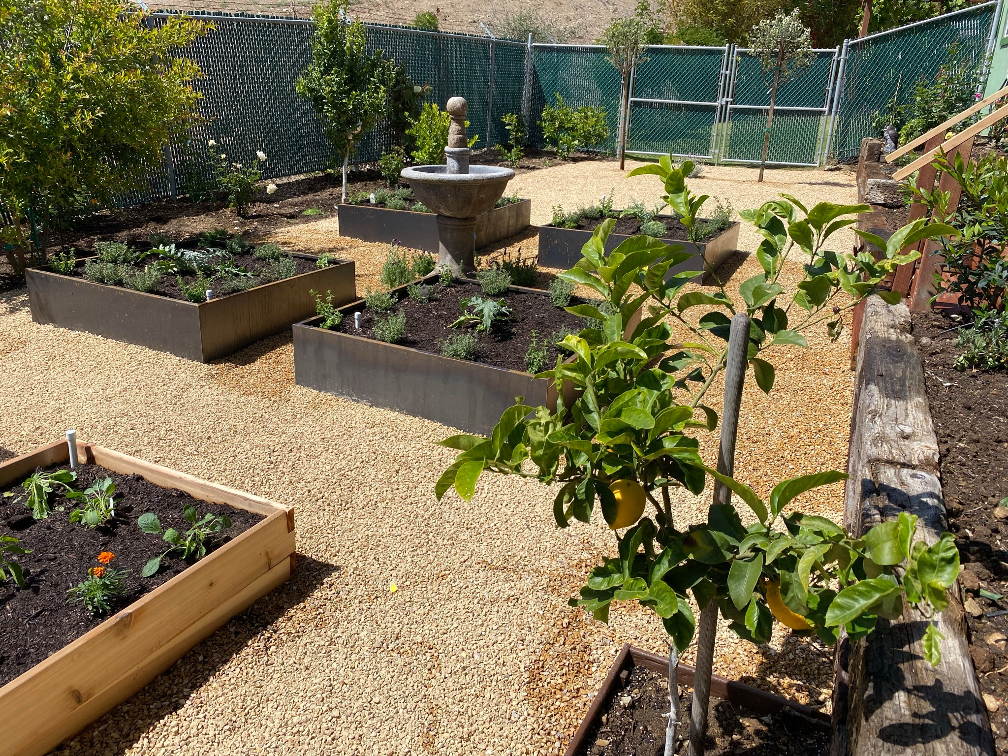 San Pedro, CA - English Potager Style Culinary Garden
