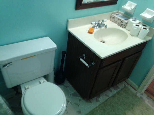 Guest Bath Refresh transitional