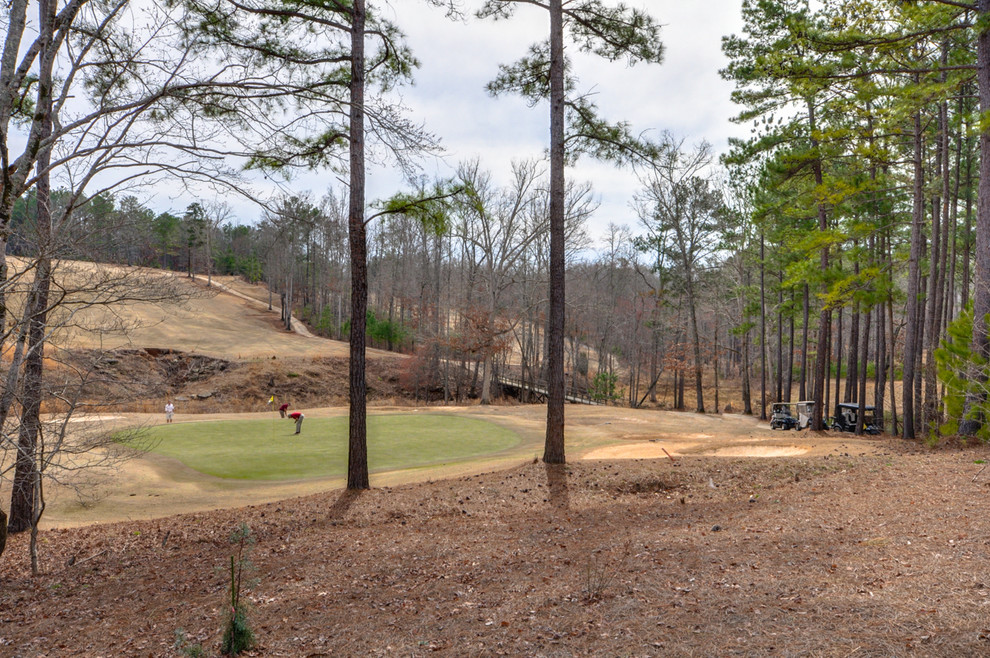 Skyview Home Atlanta by Abernathy Custom Homes Houzz AU