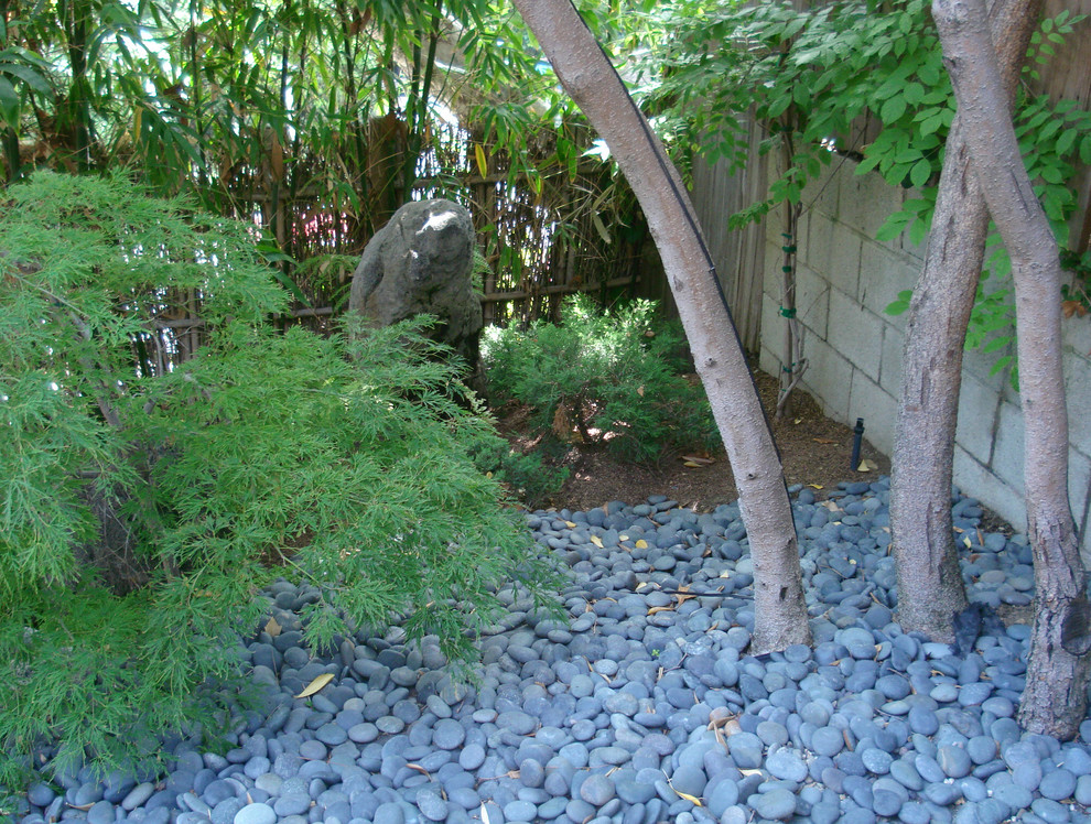 Asian garden in Los Angeles.