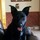 stacy_kreil