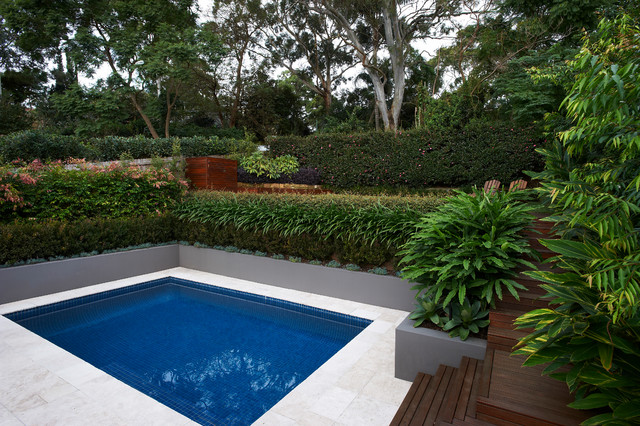 Chatswood - Pool + Garden clasico-renovado