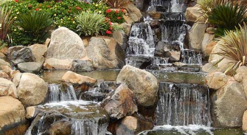 Design ideas for a landscaping in San Diego.