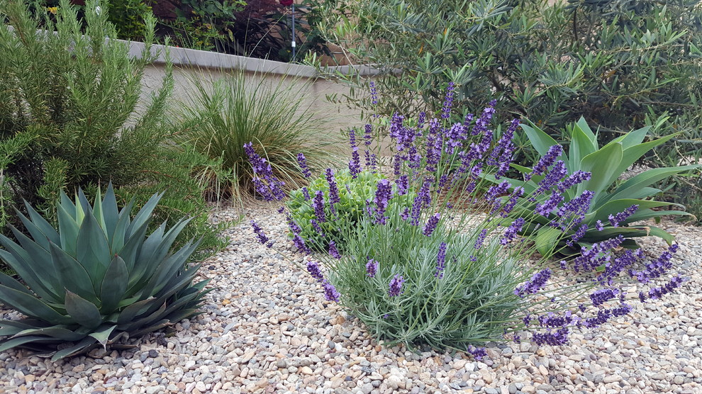 Small contemporary backyard full sun xeriscape in Orange County with a water feature and gravel.